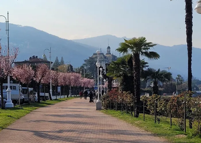 La Rosa Del 斯特雷萨
